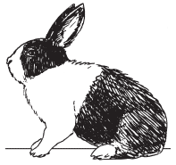 Полная энциклопедия фермера - i_046.png