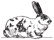 Полная энциклопедия фермера - i_047.png