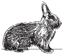 Полная энциклопедия фермера - i_050.png