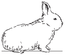 Полная энциклопедия фермера - i_052.png