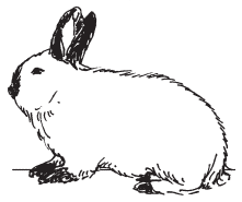 Полная энциклопедия фермера - i_053.png