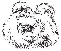 Полная энциклопедия фермера - i_055.png