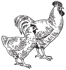 Полная энциклопедия фермера - i_061.png