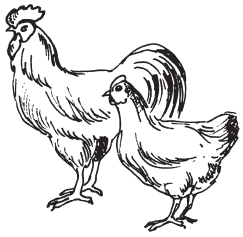 Полная энциклопедия фермера - i_062.png