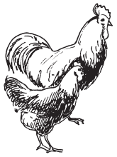 Полная энциклопедия фермера - i_063.png