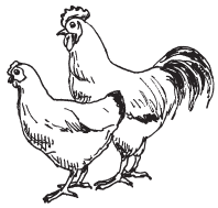 Полная энциклопедия фермера - i_064.png