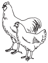 Полная энциклопедия фермера - i_065.png