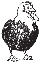 Полная энциклопедия фермера - i_069.png