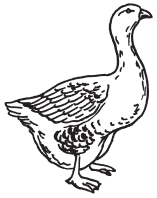 Полная энциклопедия фермера - i_071.png