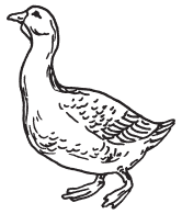 Полная энциклопедия фермера - i_072.png