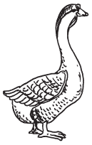 Полная энциклопедия фермера - i_074.png