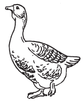 Полная энциклопедия фермера - i_076.png