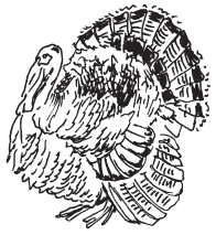 Полная энциклопедия фермера - i_081.png