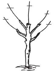 Полная энциклопедия фермера - i_161.png