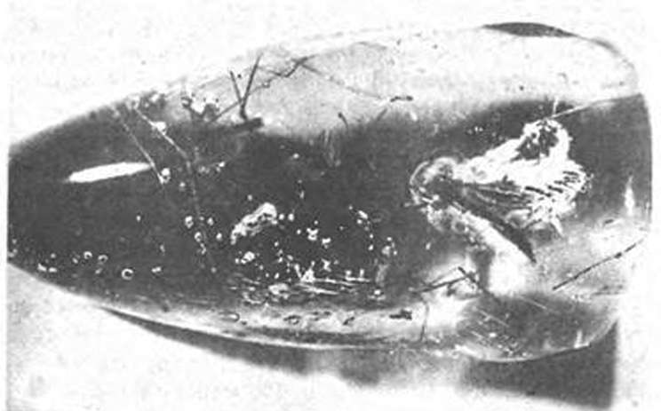 Древние изобретения - _82.jpg