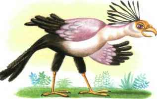 Коапп! спасите наши уши! - i_018.jpg