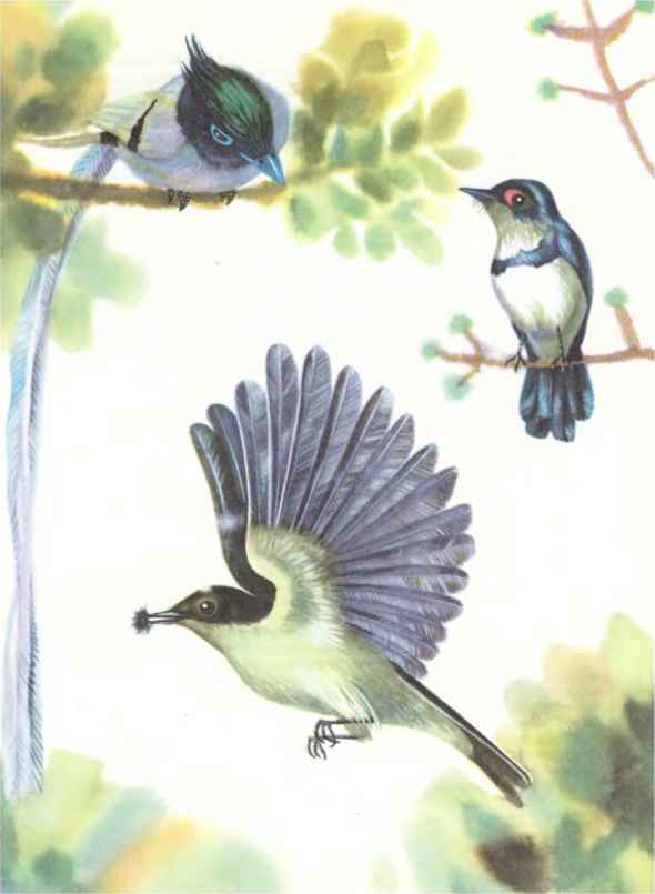 КОАПП! КОАПП! КОАПП! Репортаж о событиях невероятных. Вып. 7 - i_006.jpg