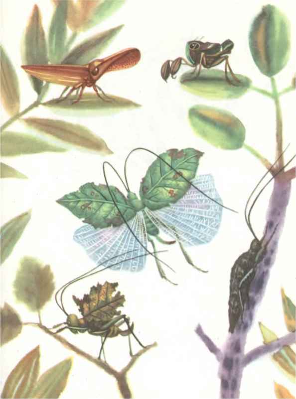 КОАПП! КОАПП! КОАПП! Репортаж о событиях невероятных. Вып. 7 - i_036.jpg