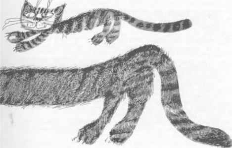 Коапп! коапп! коапп! выпуск 2 - i_035.jpg