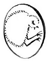 Хочу все знать 1970 - _113_Agg.jpg