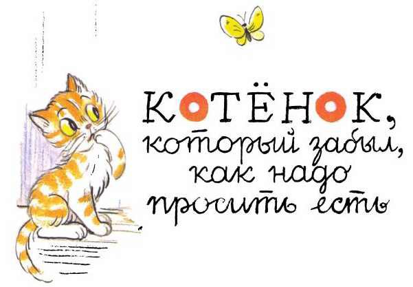 Котенок, который забыл, как надо просить есть - i_008.jpg