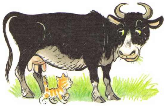 Котенок, который забыл, как надо просить есть - i_010.jpg