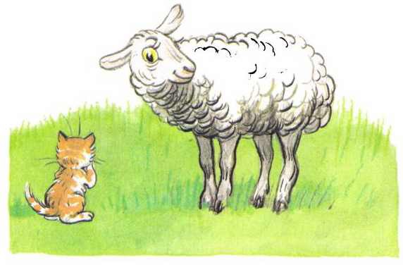 Котенок, который забыл, как надо просить есть - i_011.jpg