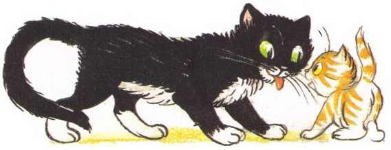 Котенок, который забыл, как надо просить есть - i_013.jpg