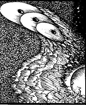 Тропик Рака - i_007.png