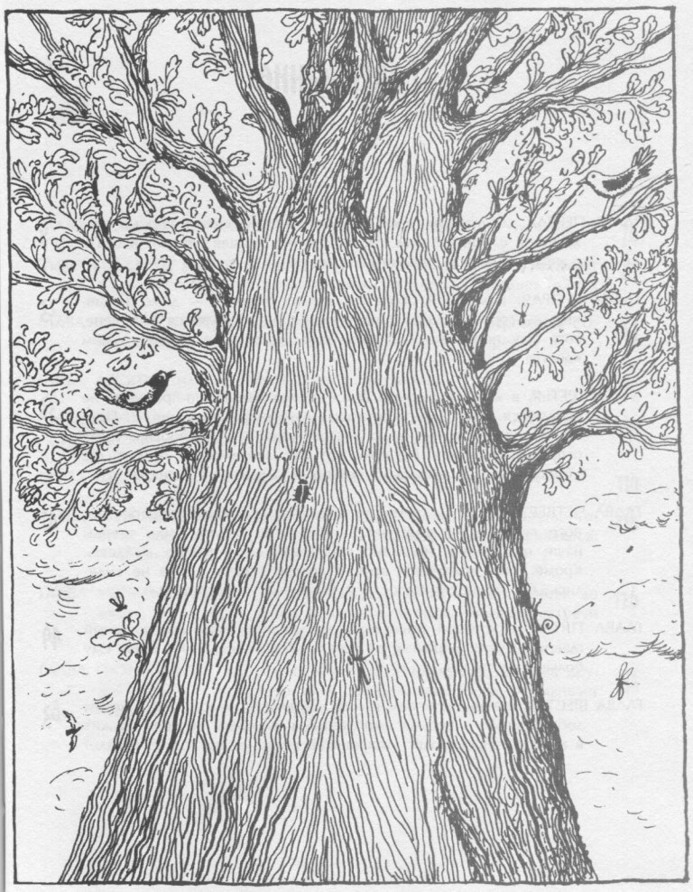 Победитель страха - Picture36.jpg