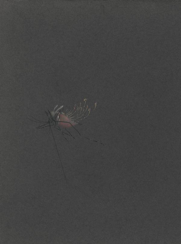 Храбрый портняжка (сборник) - _38.jpg