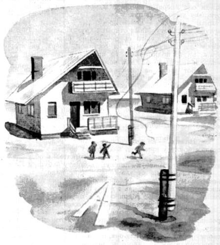 Хрустальный лес - i_025.jpg