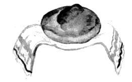 Хрустальный лес - i_028.jpg