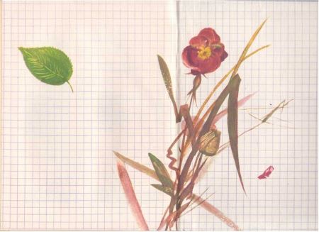 Хрустальный лес - i_029.jpg