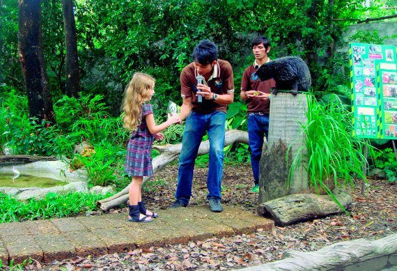 Бангкок и Паттайя. Путеводитель - i_065.jpg