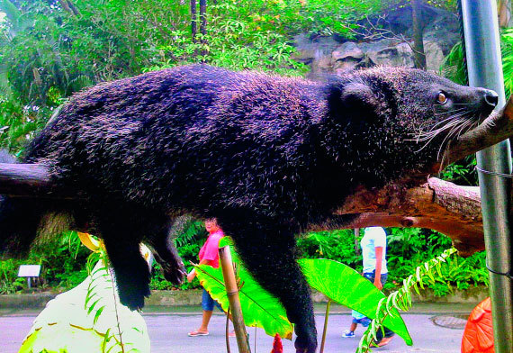 Бангкок и Паттайя. Путеводитель - i_066.jpg