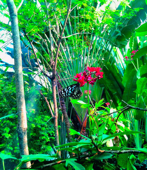 Бангкок и Паттайя. Путеводитель - i_143.jpg