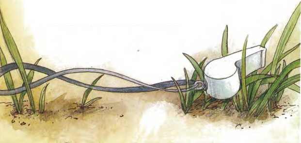 Дракоша выходит в люди - i_018.jpg