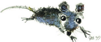 Мышарики. Книга Мышей для больших и малышей - i_001.jpg