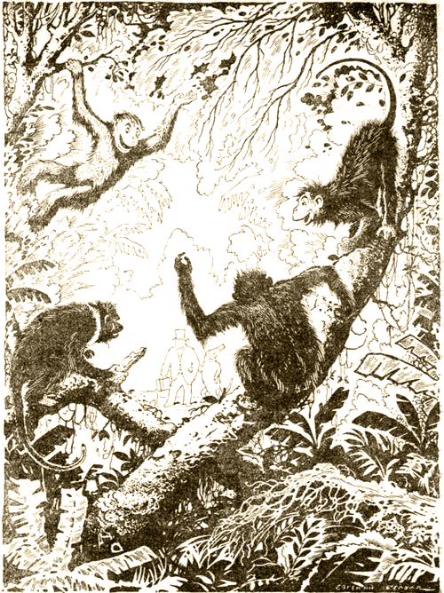 Доктор Айболит [Издание 1925 г.] - i_011.png