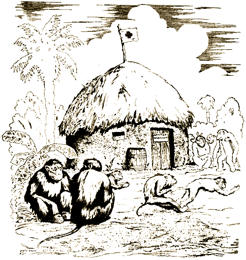 Доктор Айболит [Издание 1925 г.] - i_014.png