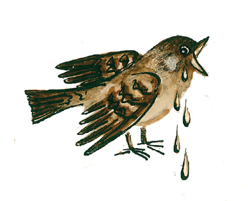 Сорока-Белобока - i_005.png