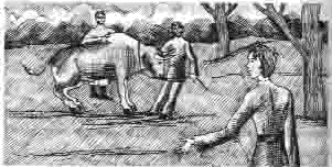 Дом шалунов - _24.png