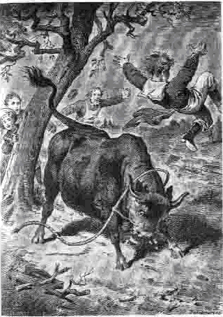 Дом шалунов - _28.png