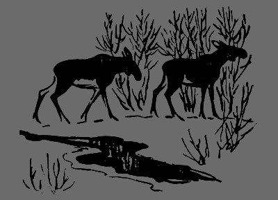 В лесах счастливой охоты - i_080.png