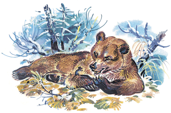 Лесные сказки - i_002.png