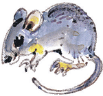 Лесные сказки - i_003.png