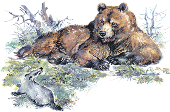 Лесные сказки - i_004.png