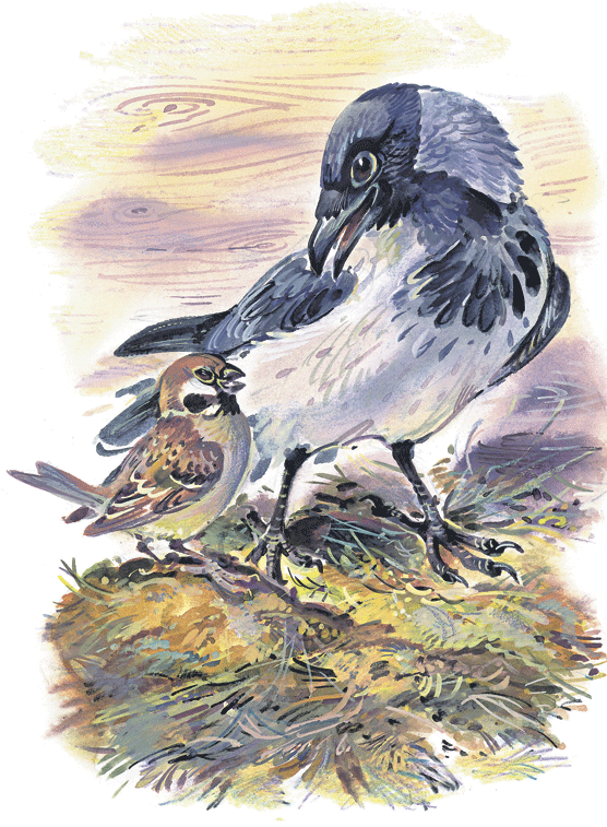 Лесные сказки - i_005.png