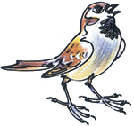 Лесные сказки - i_006.png